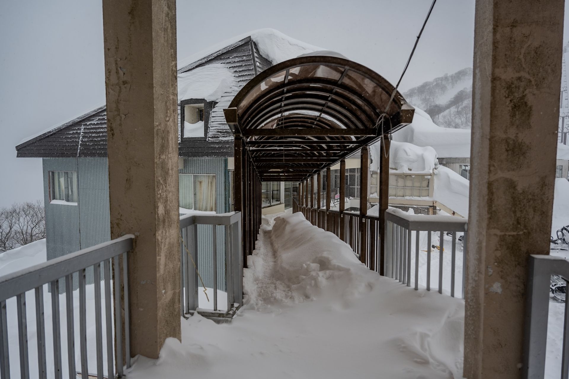 Tenjin's epic amount of snow