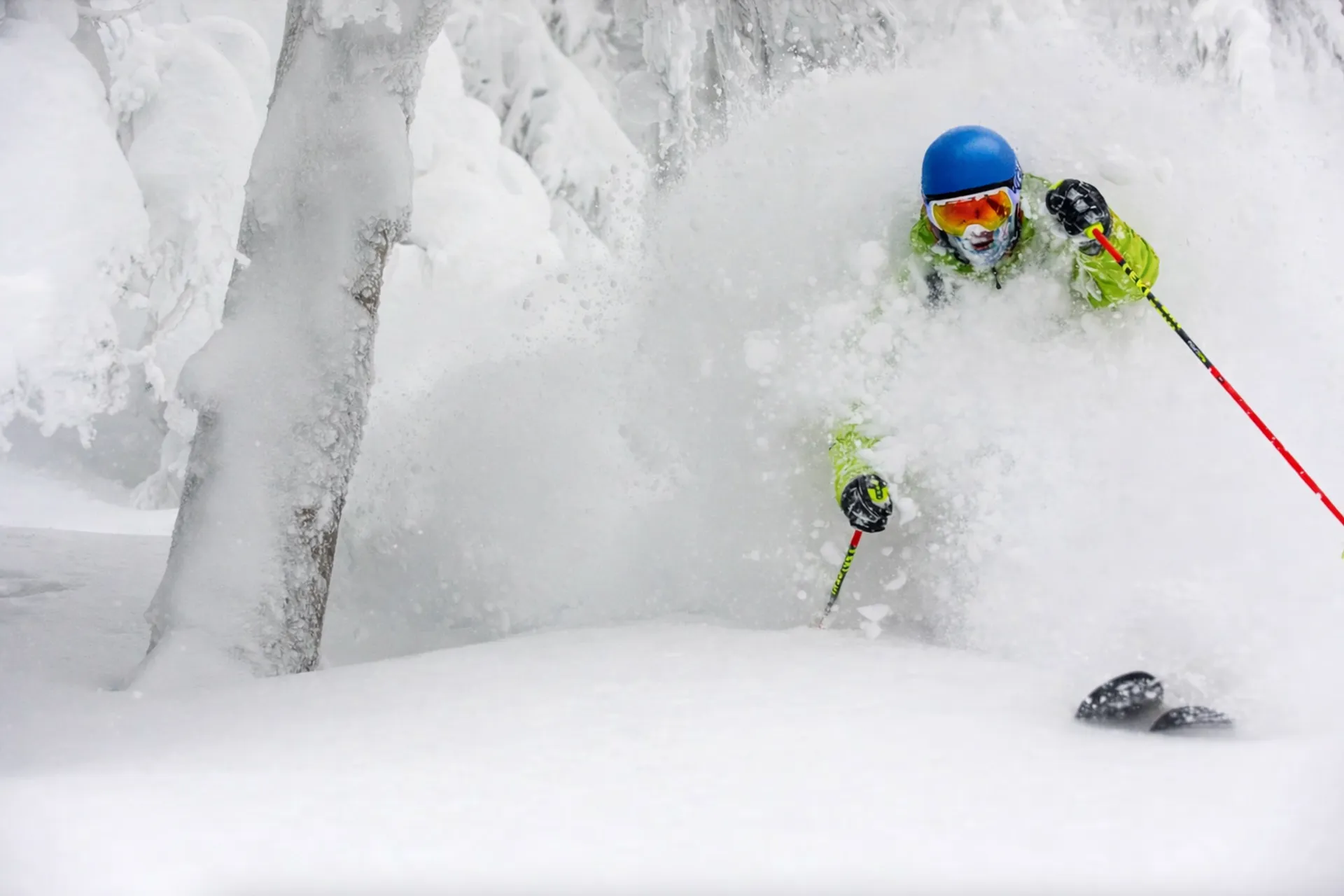 Skier ripping it through the snow covered trees in Gifu