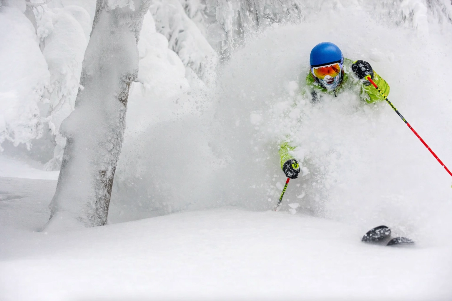 Skier ripping it through the snow covered trees in Gifu
