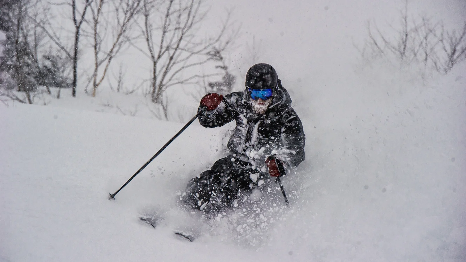 Best Accessible Tree Skiing and Sidecountry in Japan