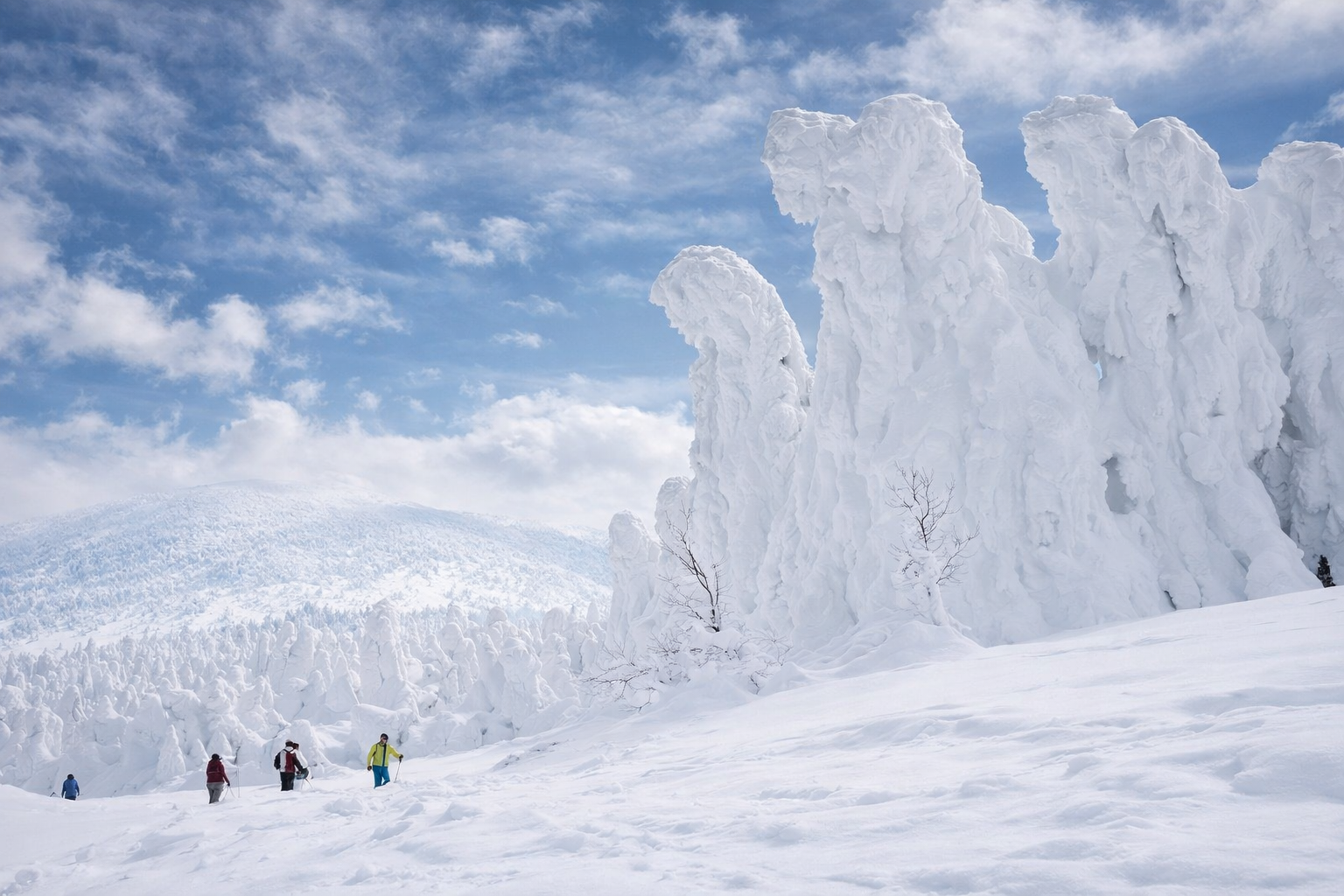 Snow Monsters in Southern Tohoku