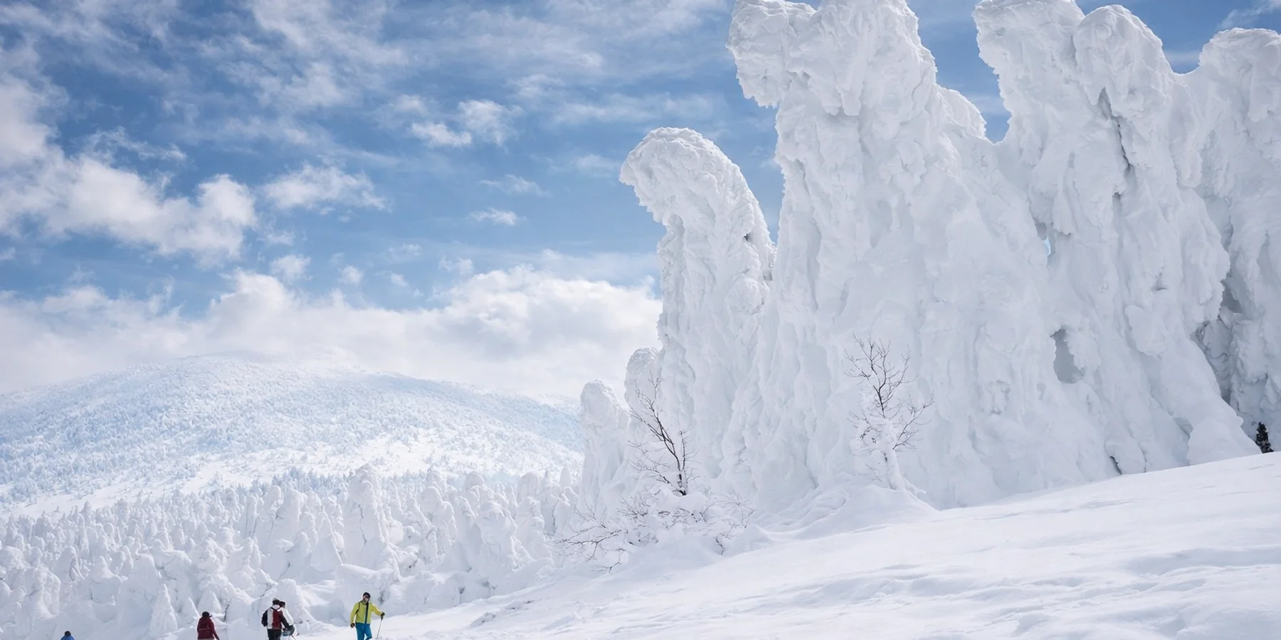 Snow Monsters in Southern Tohoku