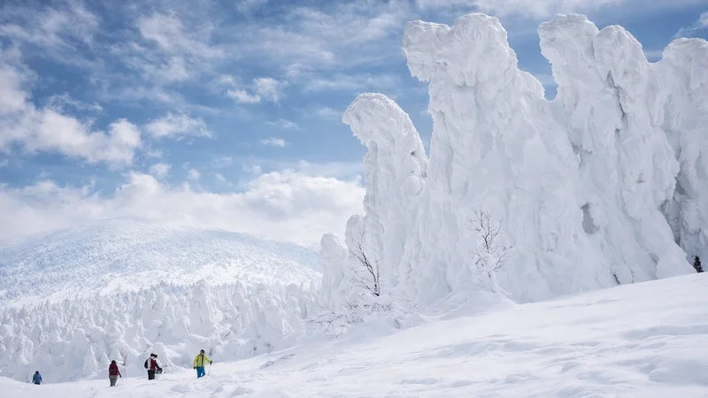 Snow Monsters in Southern Tohoku