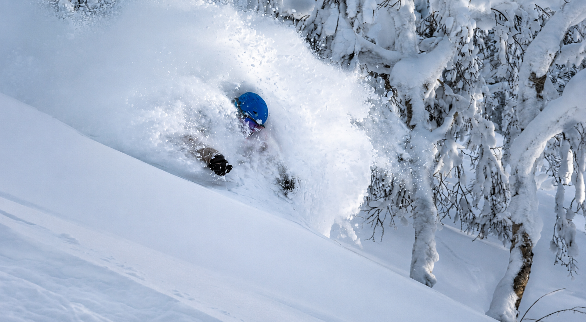 Skier neck deep in Japanese powder