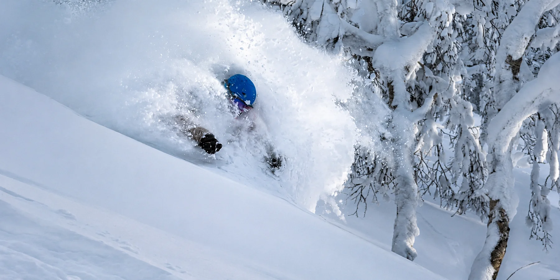 Skier neck deep in Japanese powder