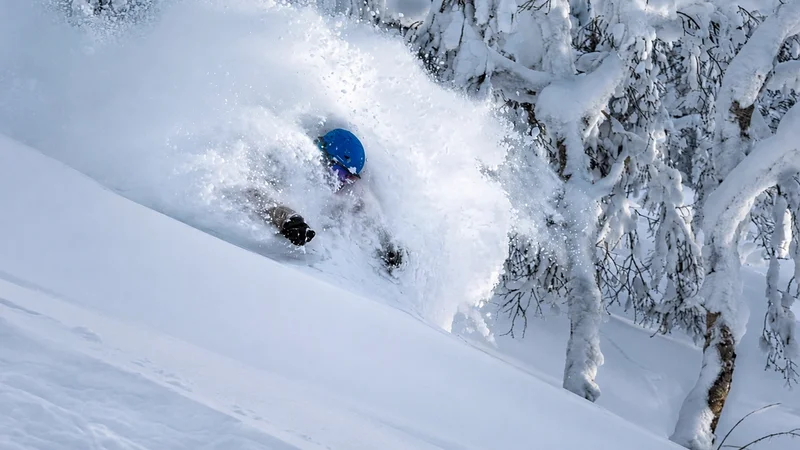 Skier neck deep in Japanese powder
