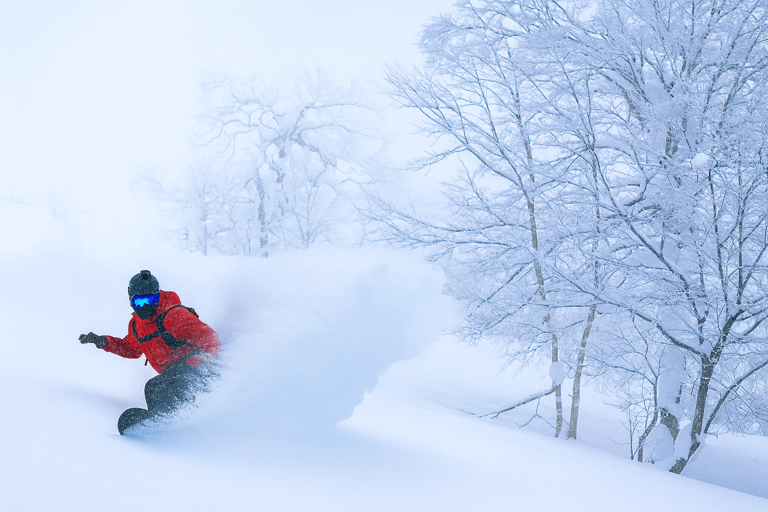 Tree riding at Tomamu should not be missed