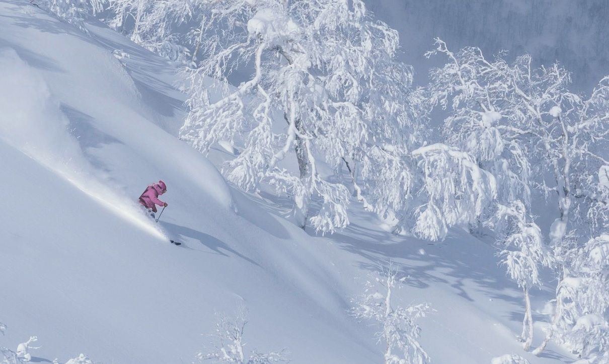 Skier enjoying some turns in backcountry Tomamu
