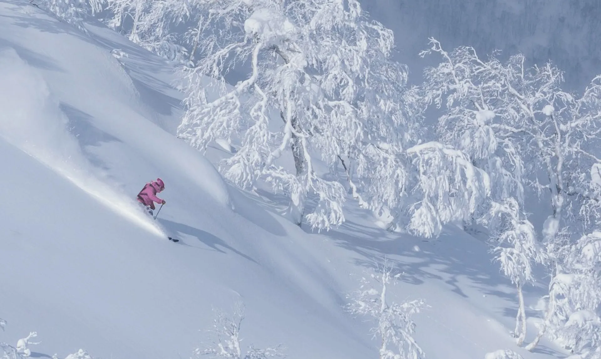 Skier at Tomamu ski resort