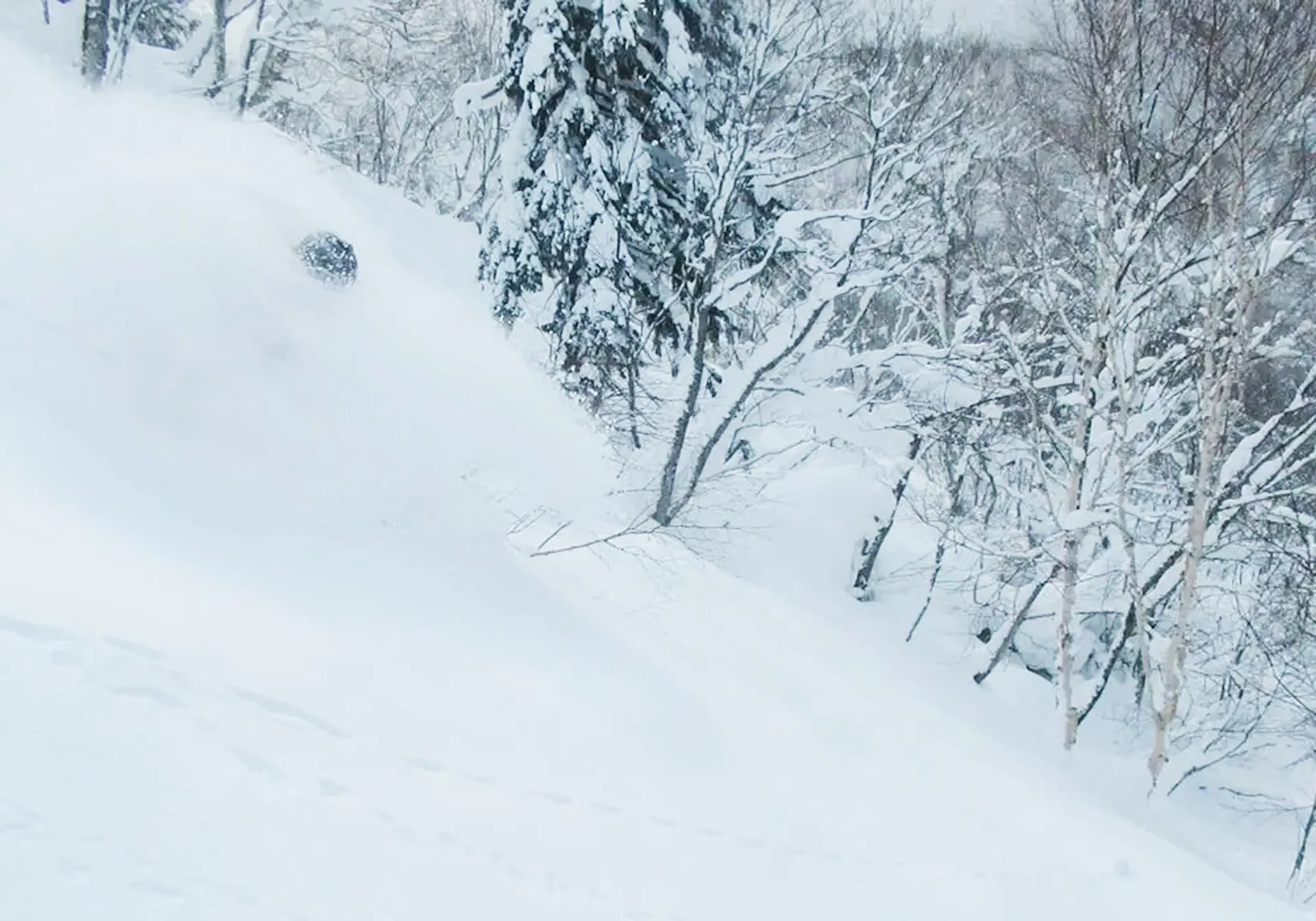 Skier enjoying the whiteroom at Sapporo Kokusai