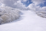 VIew up the main ski run at Kurumayama Kogen