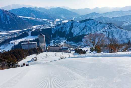 NASPA Ski Garden