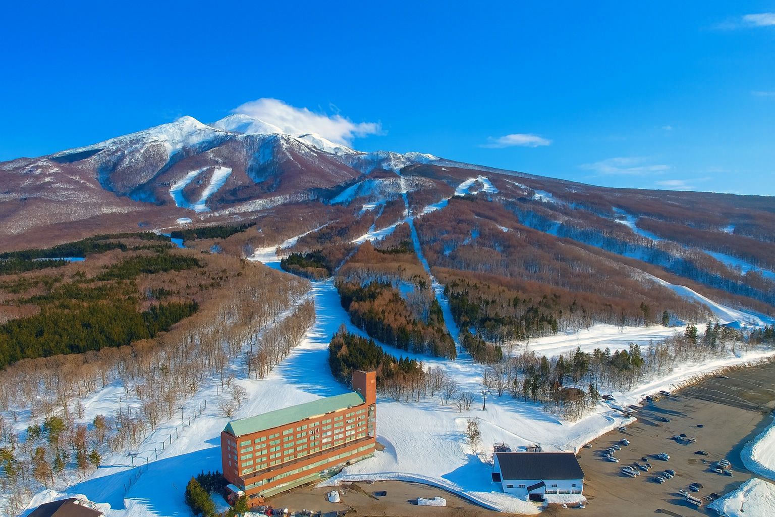 Sea-view powder, beech forests, and sneaky stashes on Mt Iwaki