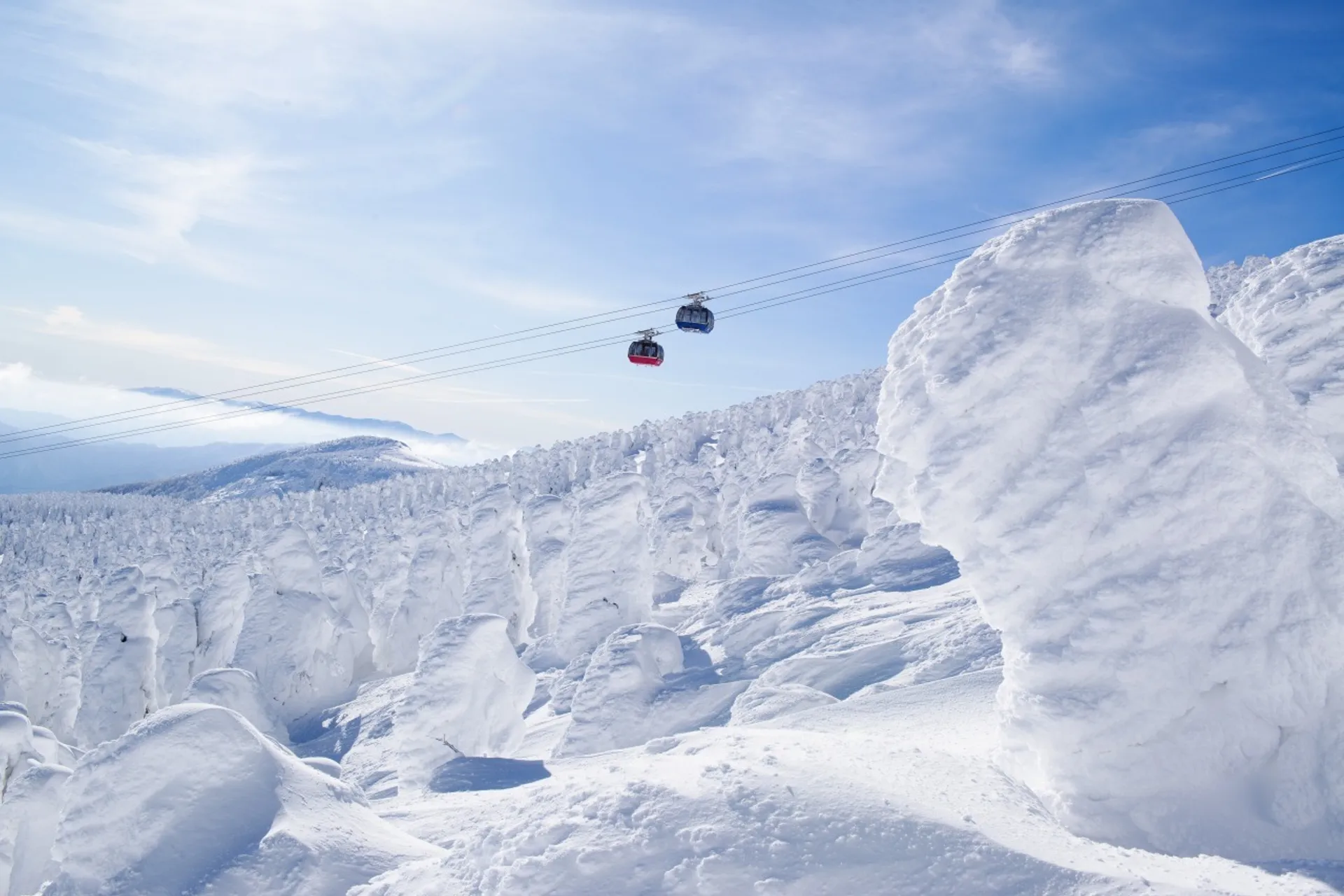 Hakkoda Snow Ghosts