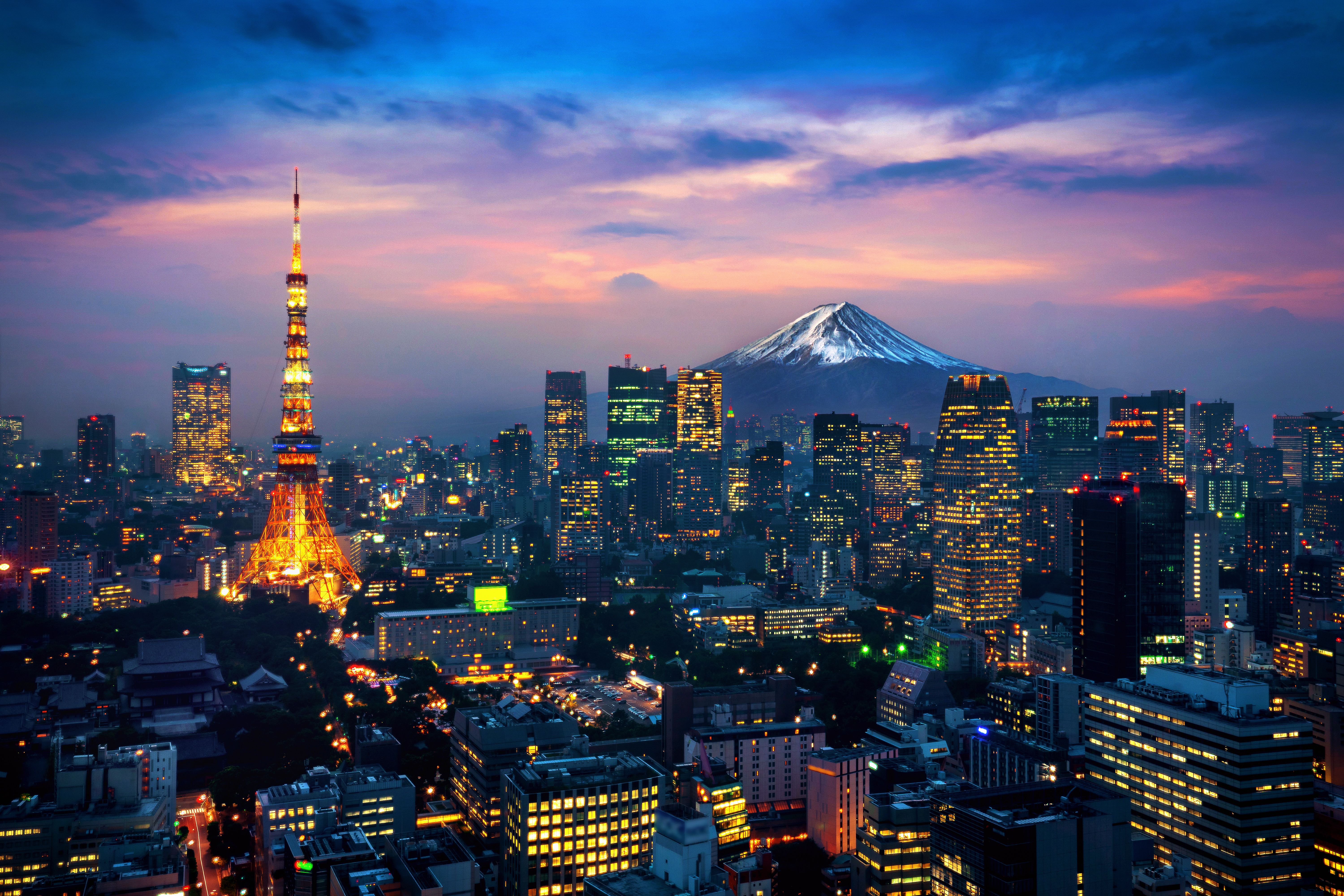 View over Tokyo city