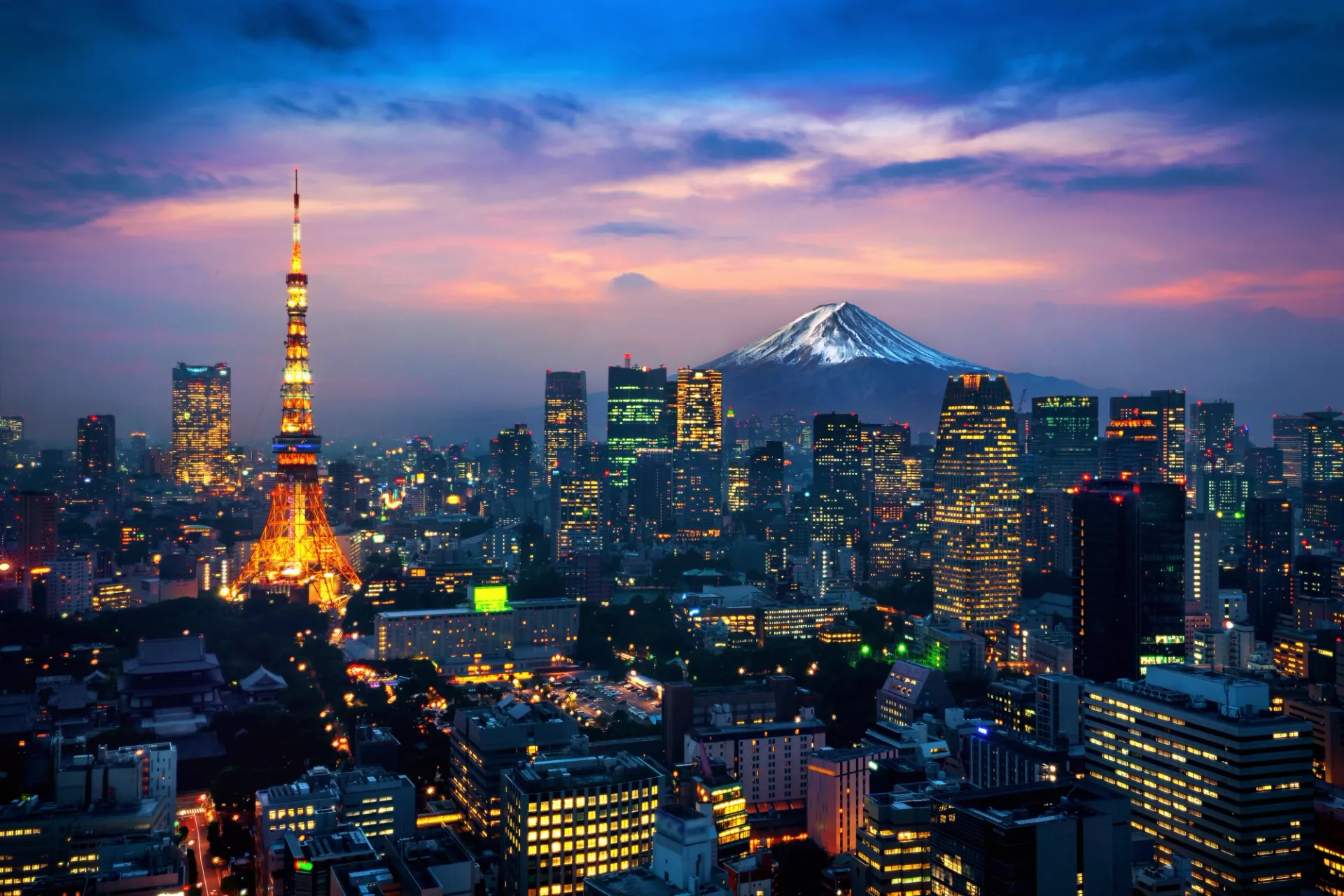 View over Tokyo city