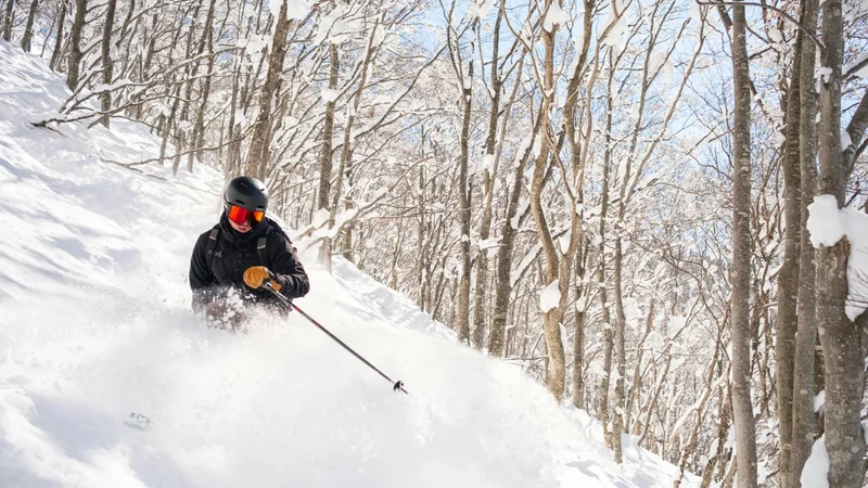 Skiing in the sidecountry in Niigata