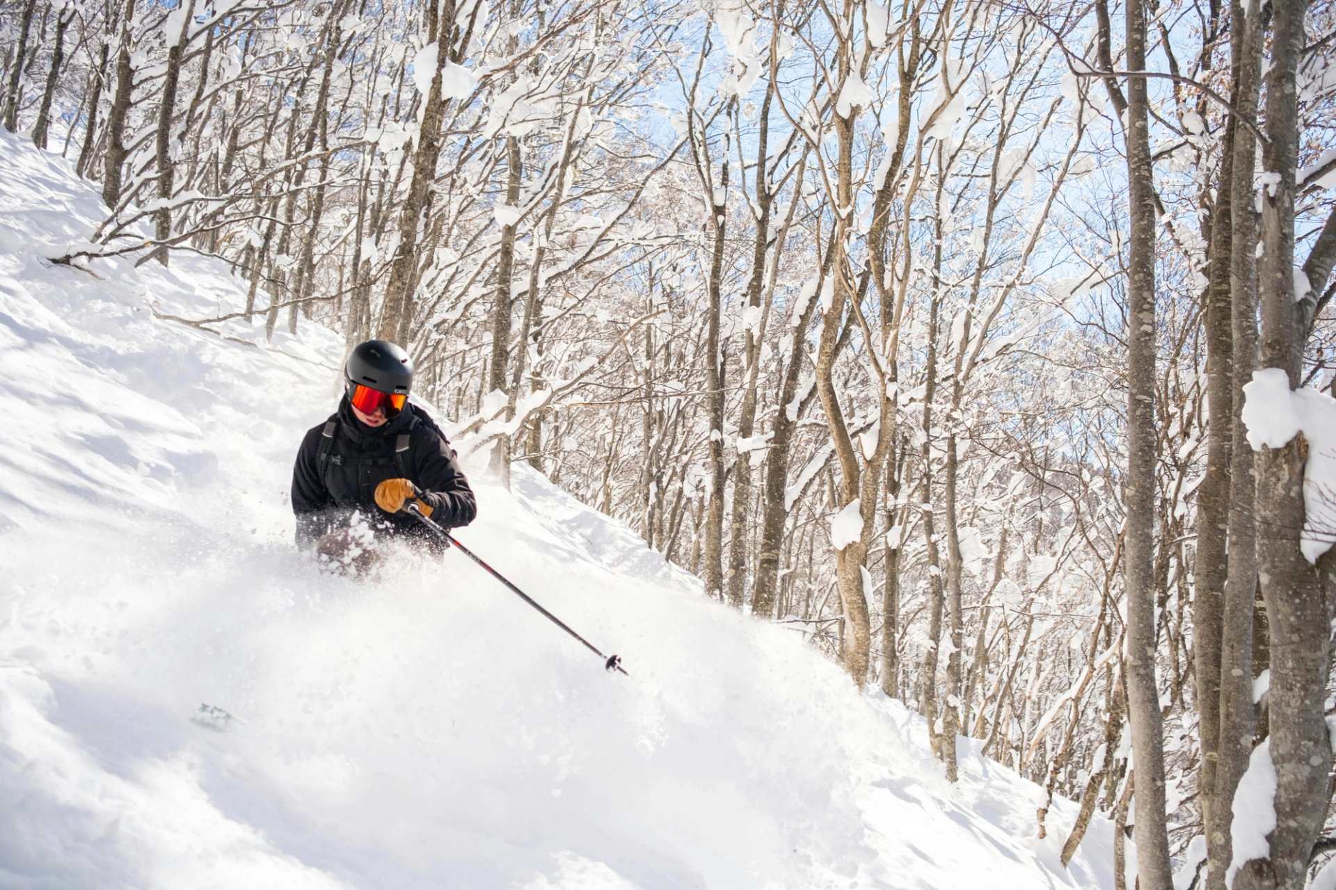 Skier hitting some classic Niigata backcountry pow