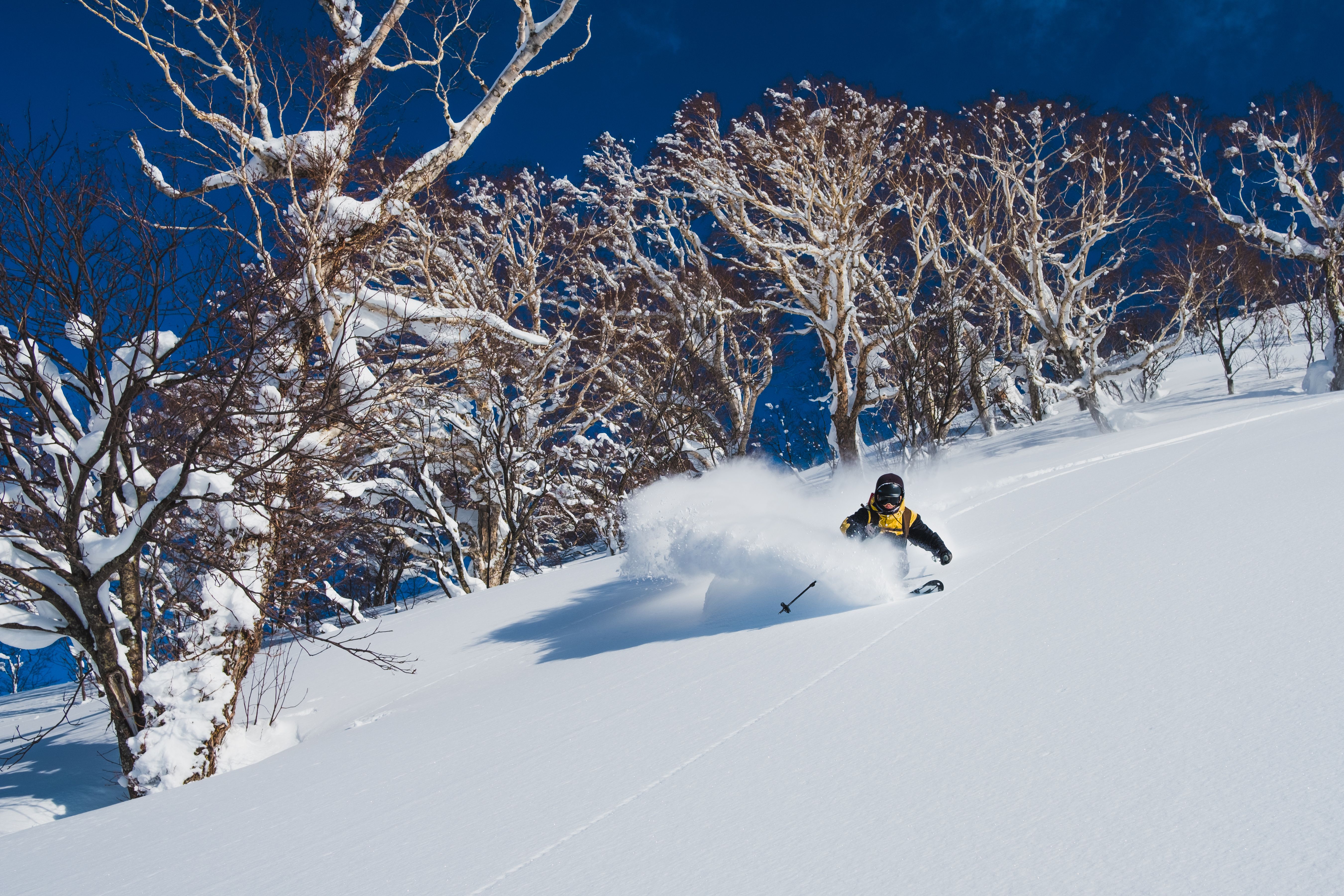 Best Ski Resorts Near Tokyo for Weekend Powder Trips
