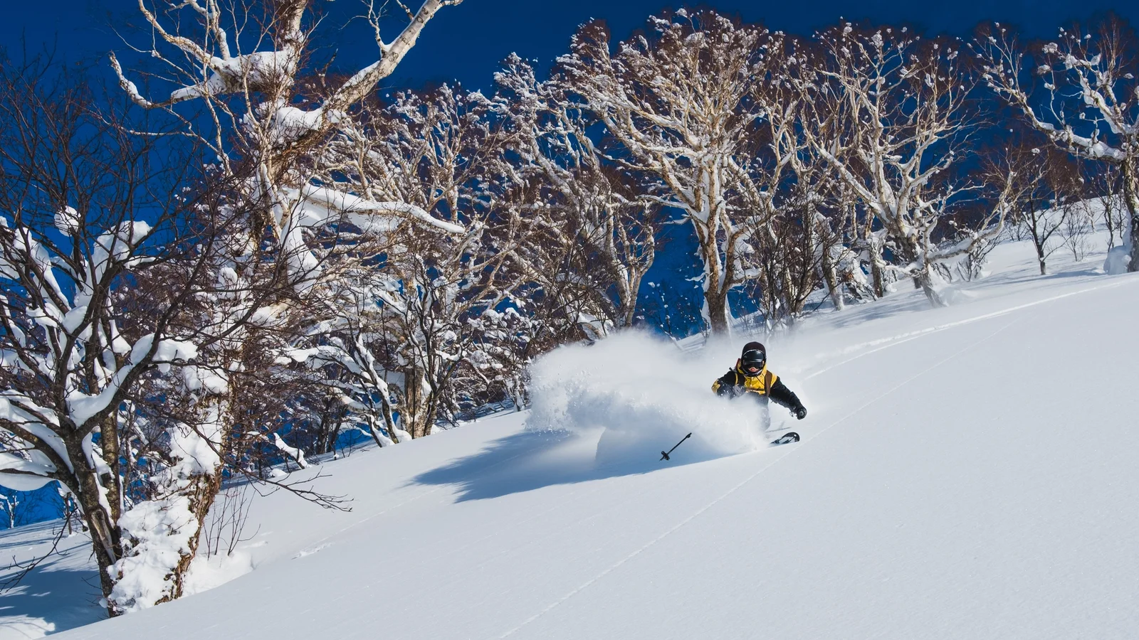 Best Ski Resorts Near Tokyo for Weekend Powder Trips