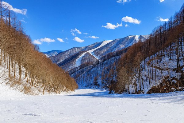 Katashina Kogen piste run on a lovely blue-bird day