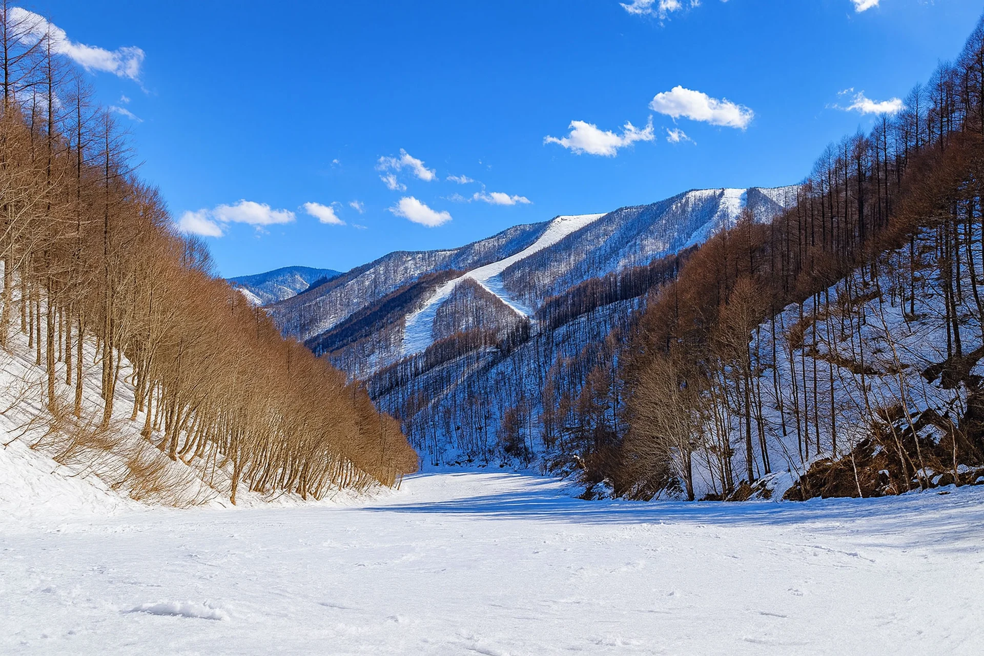 Katashina Kogen piste run on a lovely blue-bird day