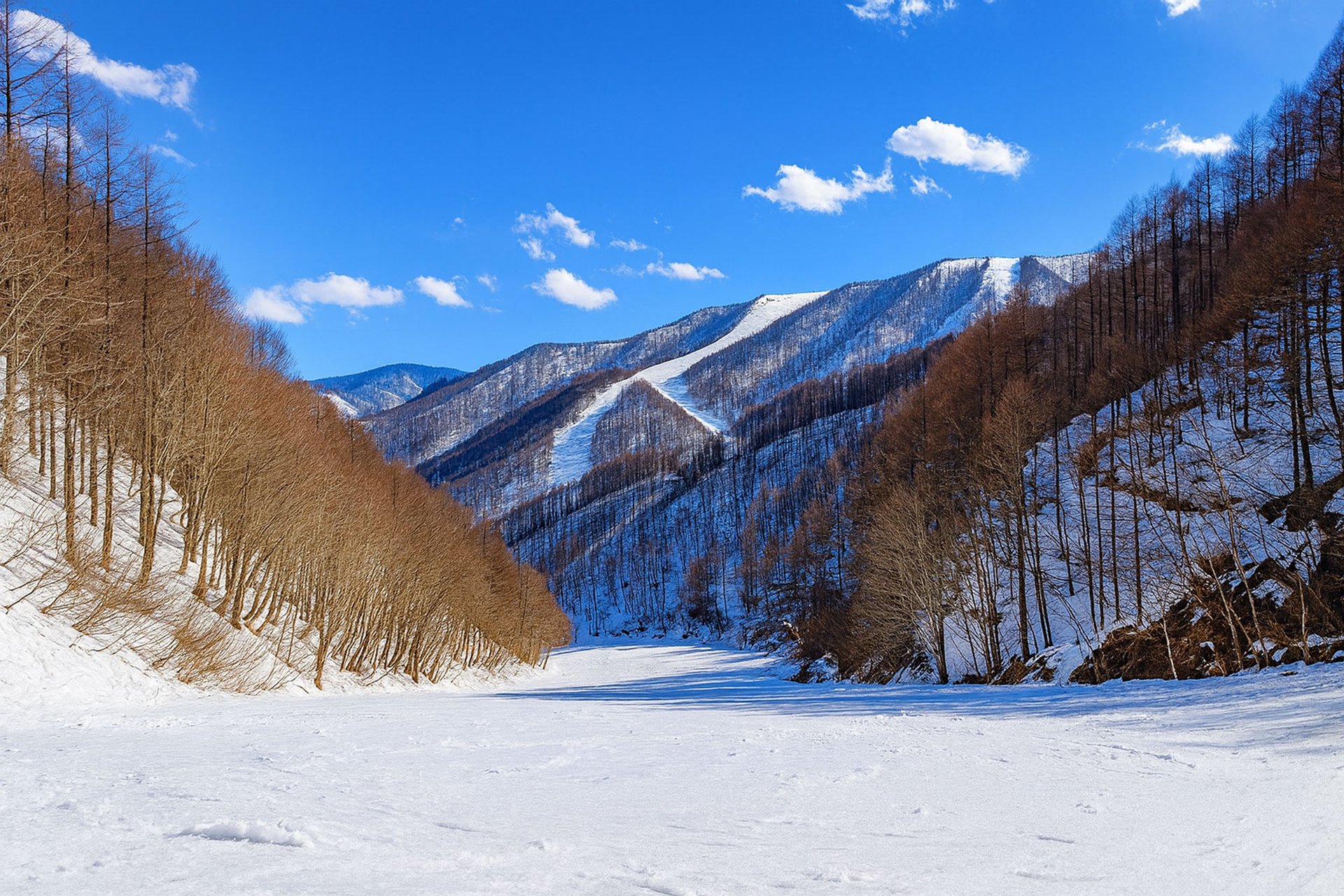 Katashina Kogen piste run on a lovely blue-bird day