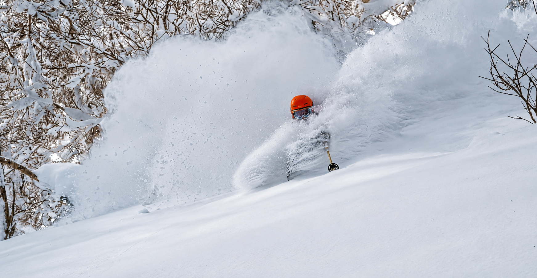 deep in the Japow