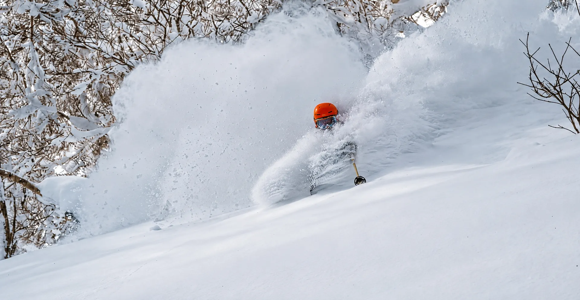 deep in the Japow