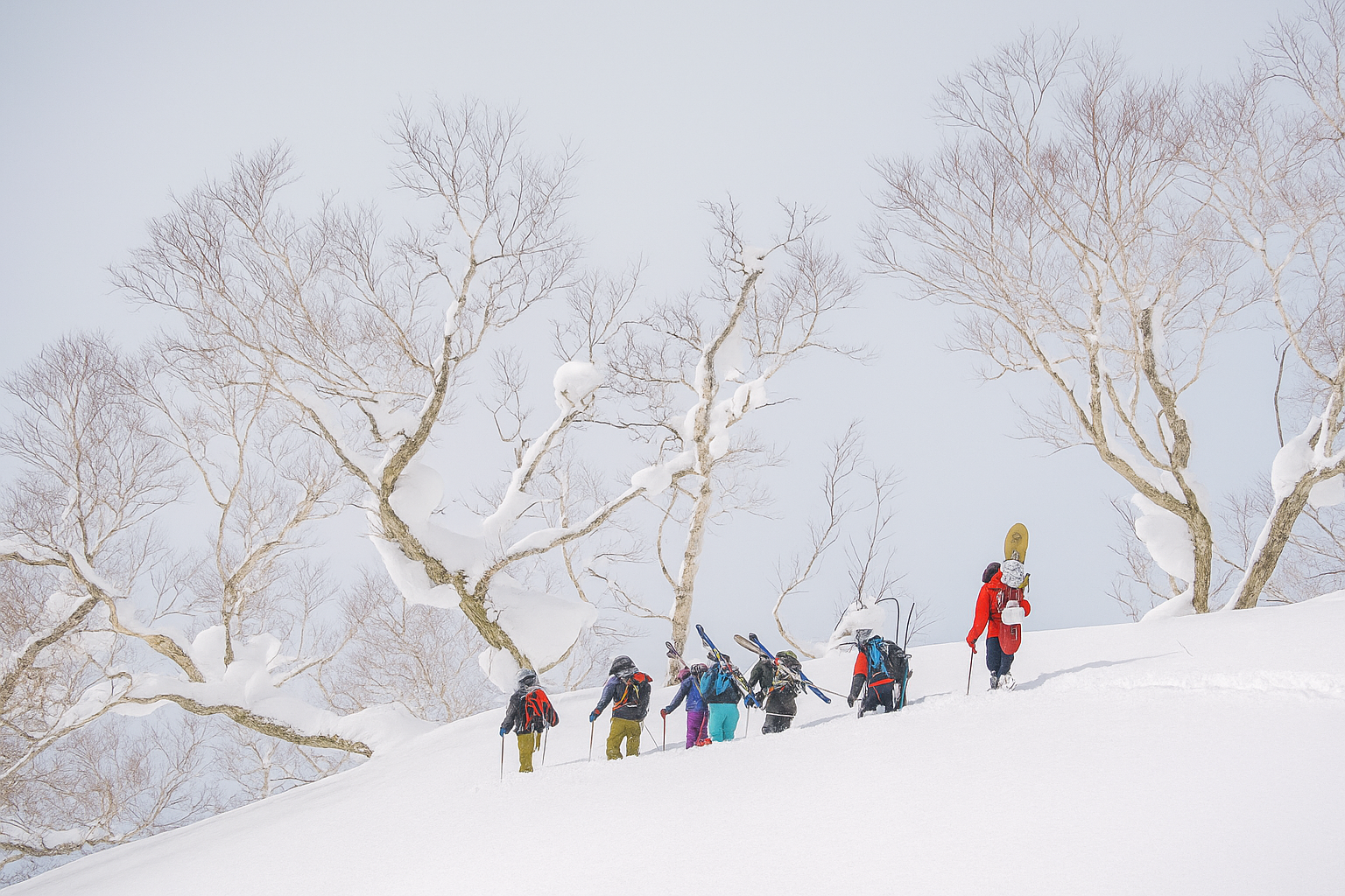 Group of skiers and snowboarders out on a backcountry guided ski tour
