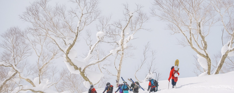 Group of skiers and snowboarders out on a backcountry guided ski tour