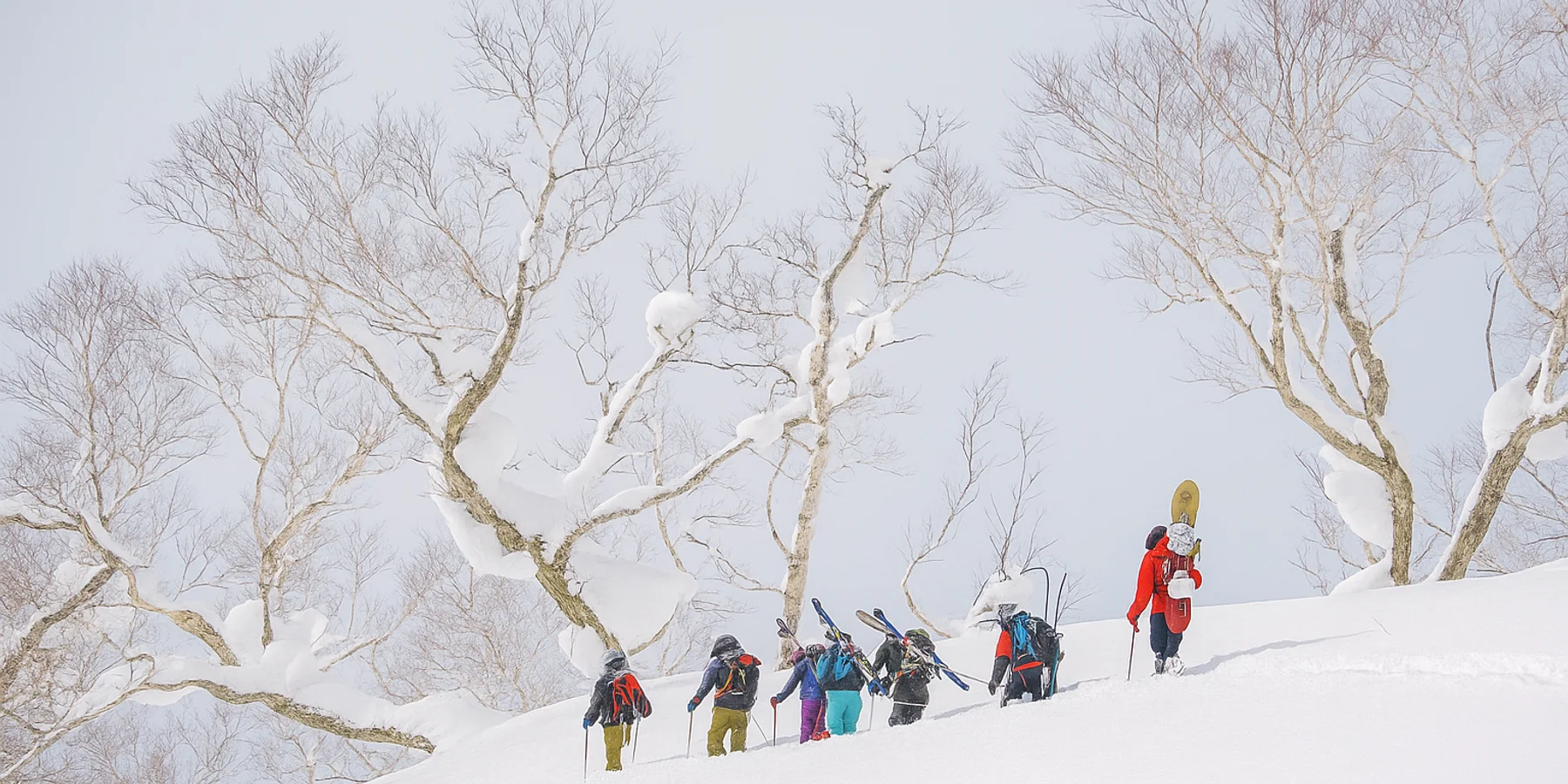 Group of skiers and snowboarders out on a backcountry guided ski tour