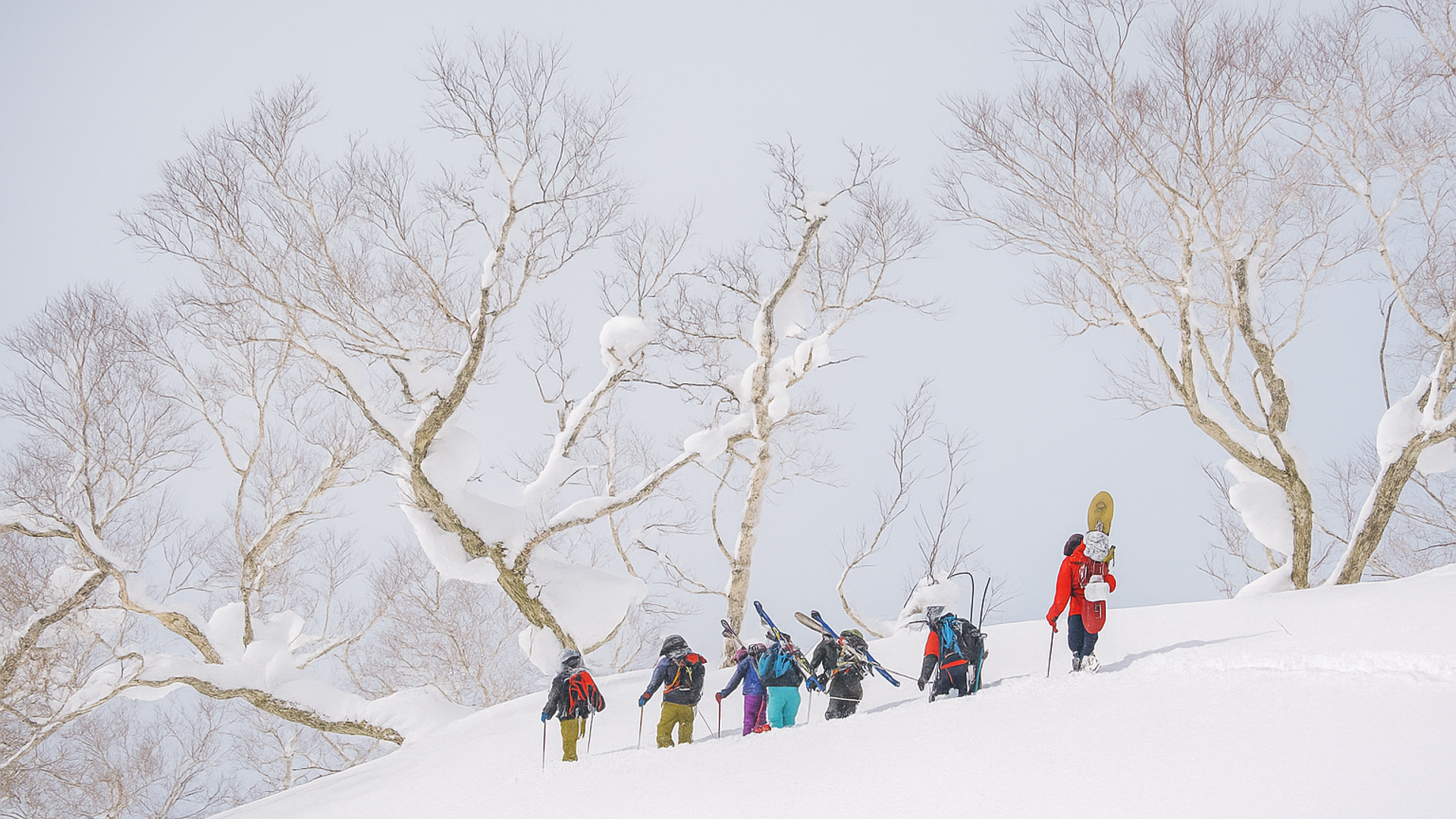 Group of skiers and snowboarders out on a backcountry guided ski tour