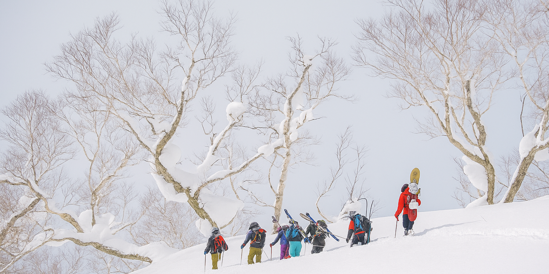 Group of skiers and snowboarders out on a backcountry guided ski tour