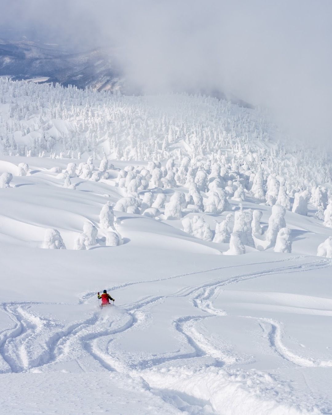 Powder day at Hakkoda in-between the snow monsters