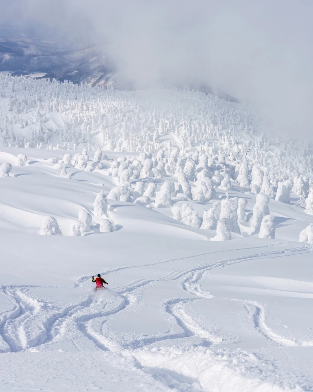 Nice lines down towards the snow monsters in Aomori