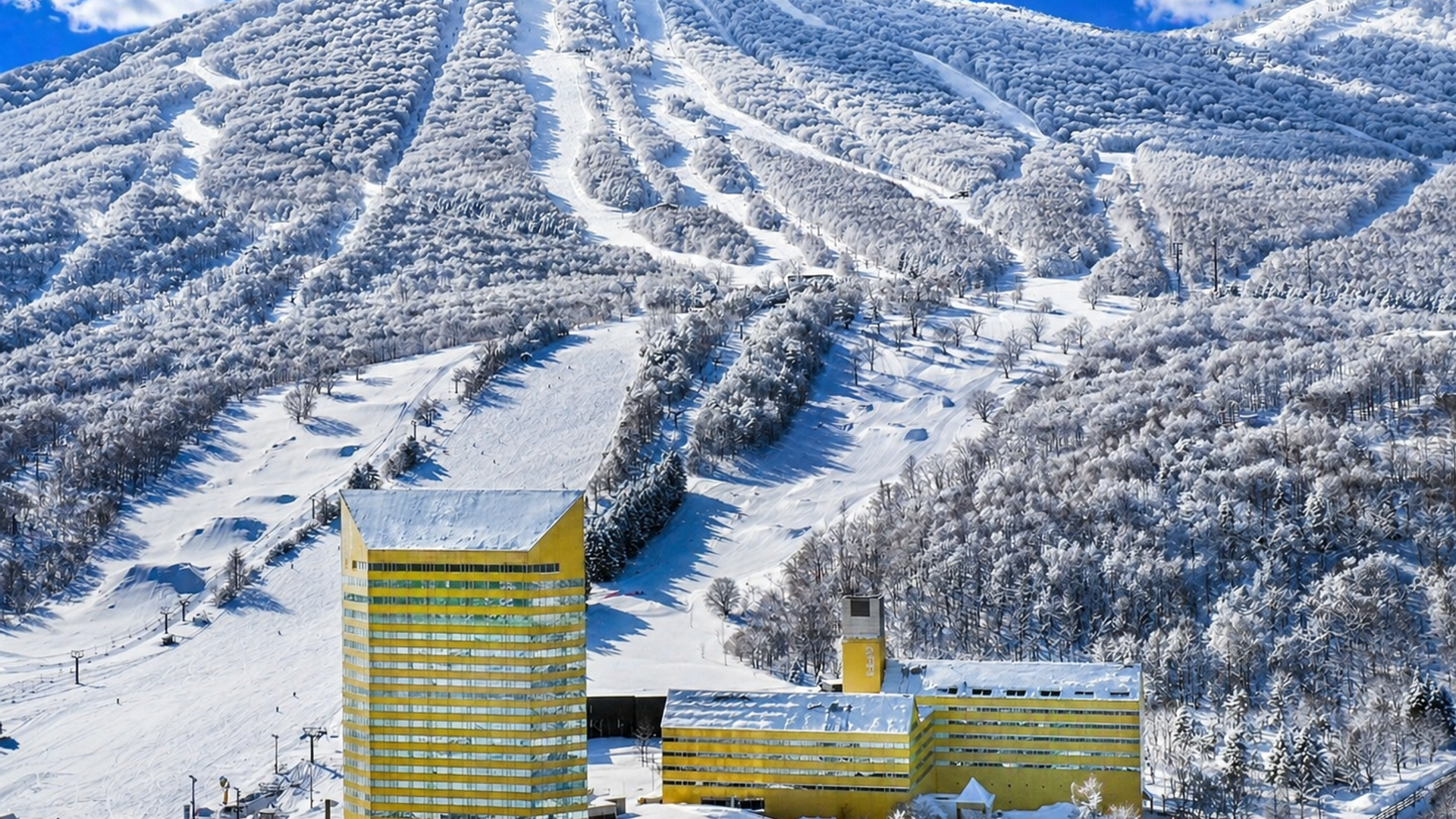 Appi Kogen on a beautiful day with fresh Japow