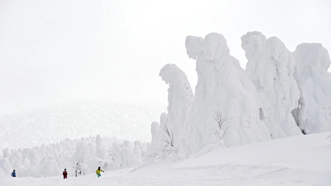 Enormous snow ghosts at Zao Onsen