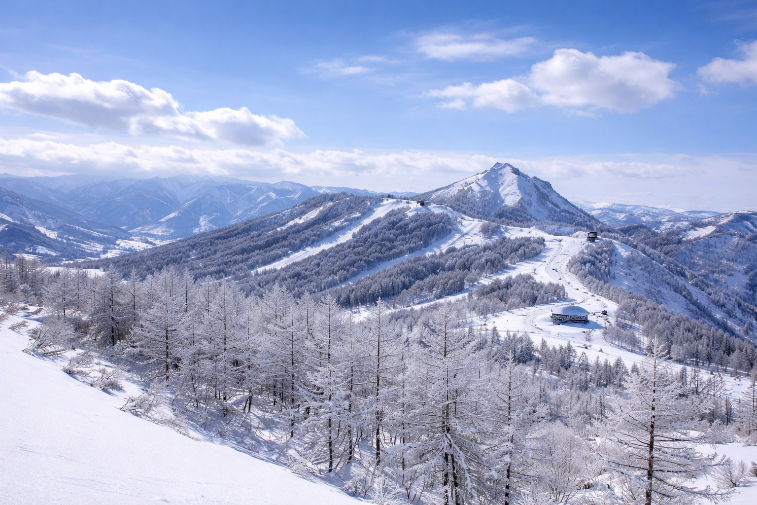 Maiko ski resort with snow covered trees