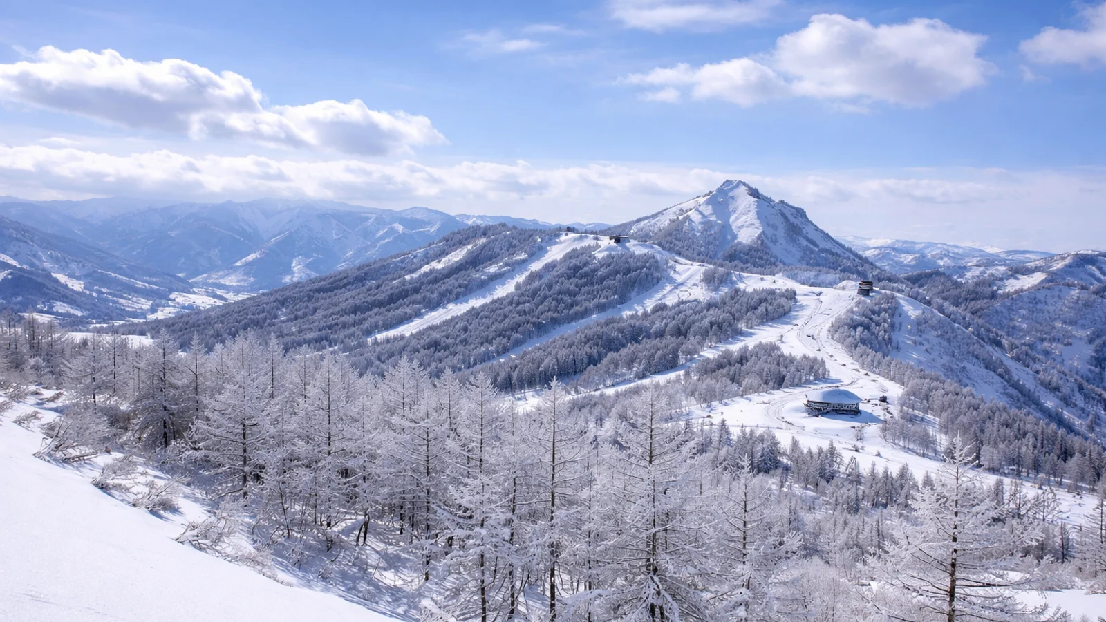 Maiko ski resort with snow covered trees