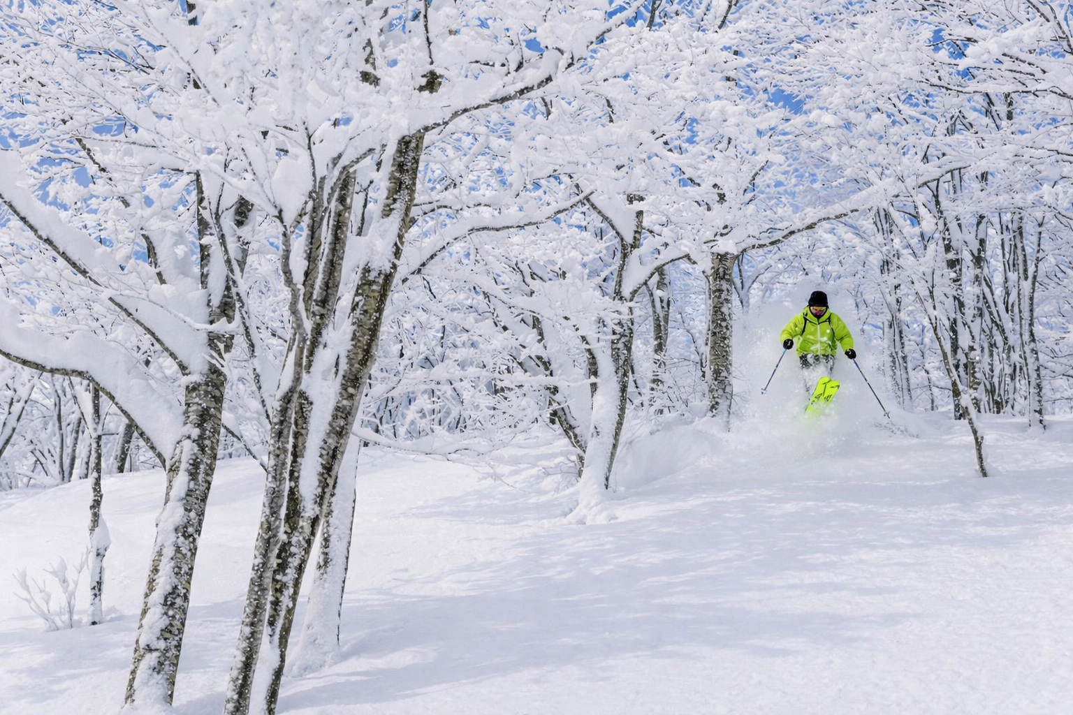 Skier in sidecountry japow