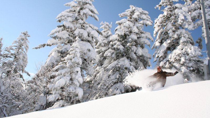 snowboarder enjoying the powder in Furano