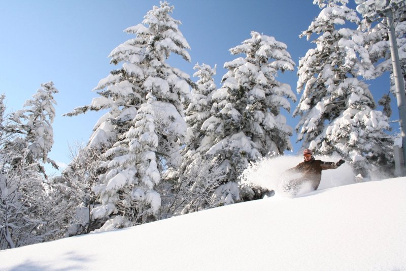 snowboarder enjoying the powder in Furano