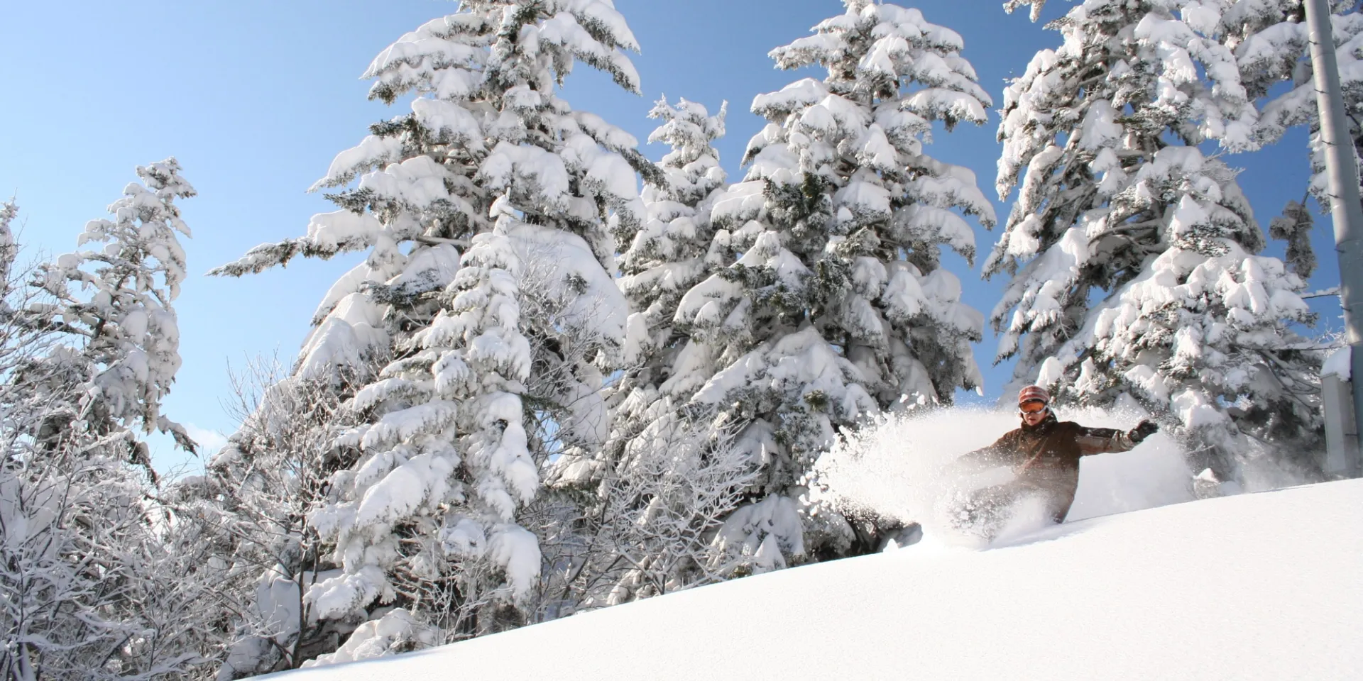snowboarder enjoying the powder in Furano