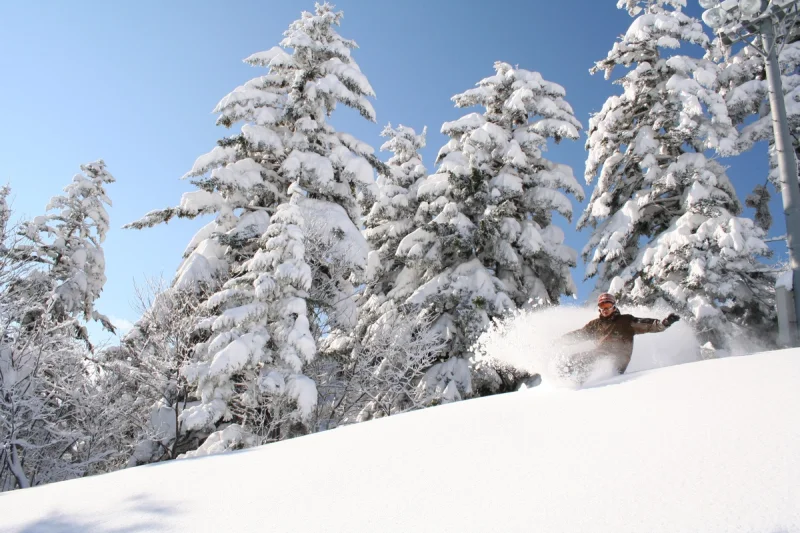 snowboarder enjoying the powder in Furano