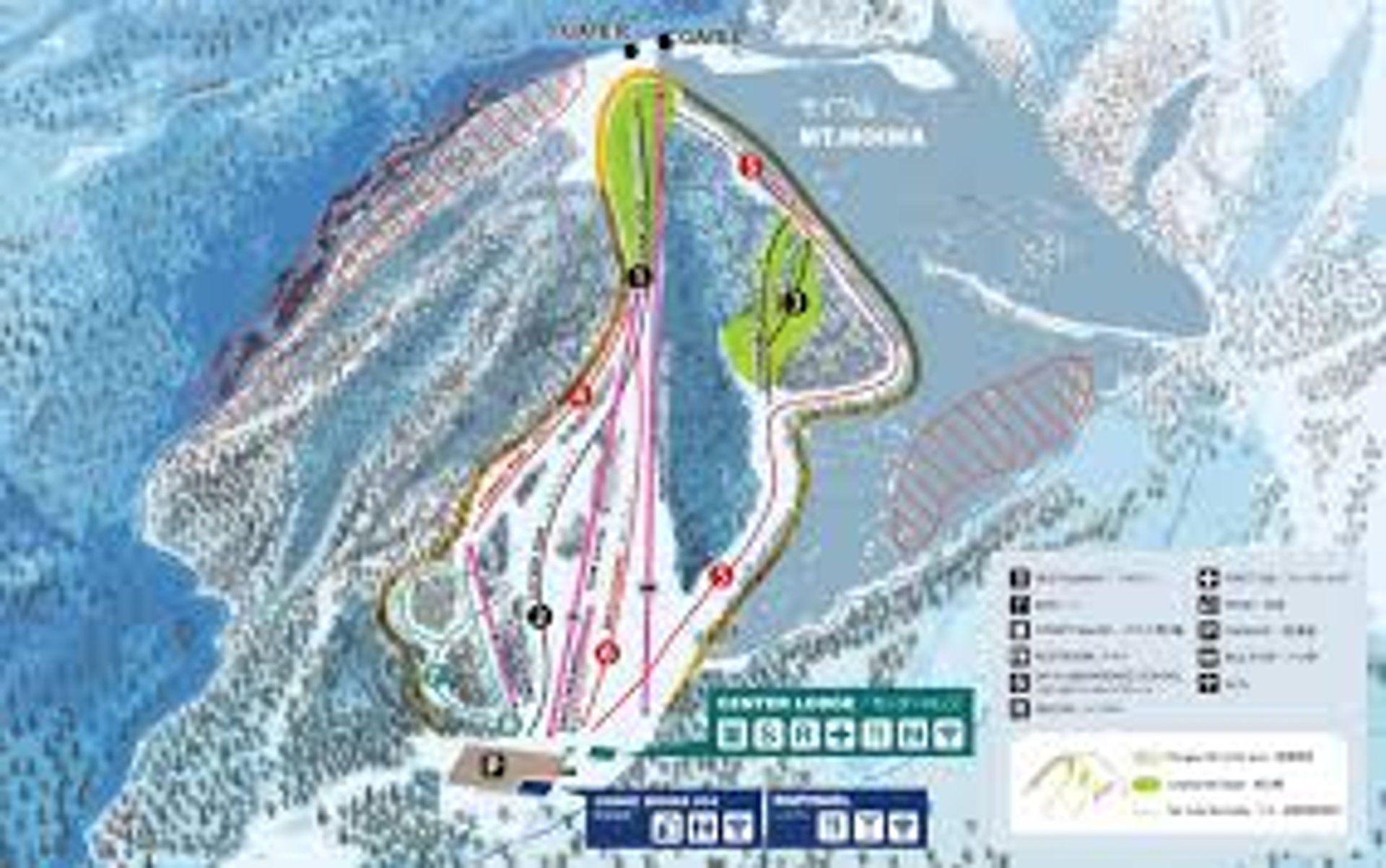 The stealth Niseko: deep trees, short lines, big grins