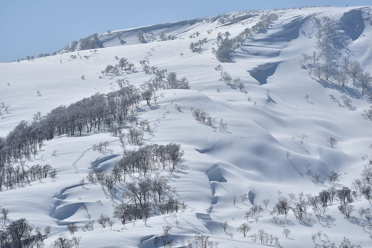 Japan’s spring-ski unicorn