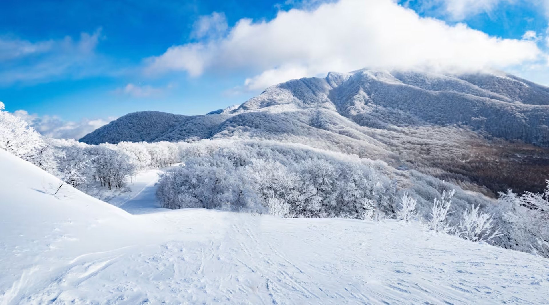 Nekoma Ski Resort on a bluebird day