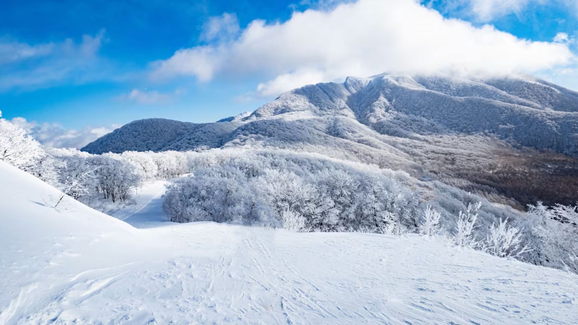 Nekoma Ski Resort on a bluebird day