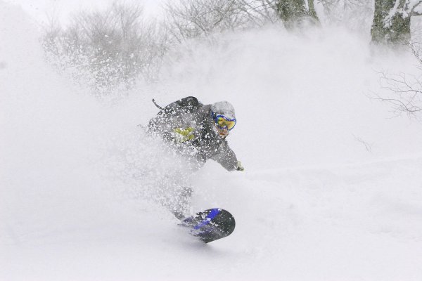 Snowboarder in powder at Esashi Shiei Koeji